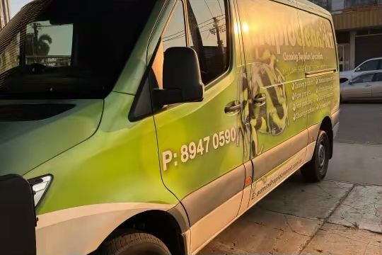 Before — green wrapped van side and rear quarter panel